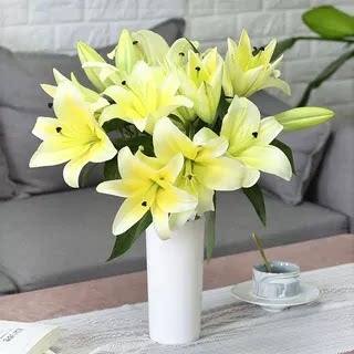 香水百合花鲜花直批粉白黄家用黄天霸水养斗南花束云南花卉昆明 - 图0