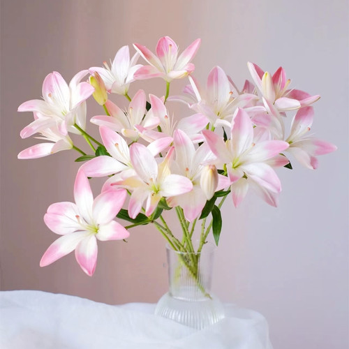 鲜花粉白色亚百合萌萌哒云南昆明斗南市场基地直发家用水养插花束 - 图1