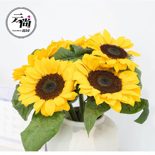 毕业向日葵真花小花束新鲜批鲜花发家用云南花卉水养昆明市场斗南 - 图1