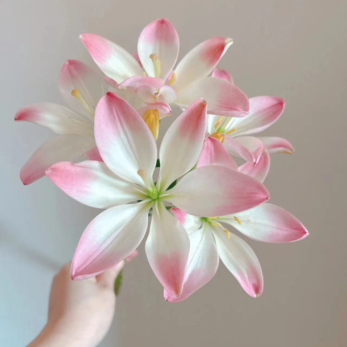 鲜花粉白色亚百合萌萌哒云南昆明斗南市场基地直发家用水养插花束 - 图3