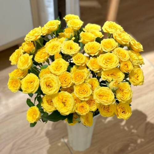 多头玫瑰橙色芭比巧克力鲜花云南直批家用花束基地直供泡泡蔷薇 - 图2