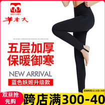 Goat Boss lady Winter hit bottom Body Cotton Pants Thick style Warm Pants Silk Wool Trousers High Waist WK9212