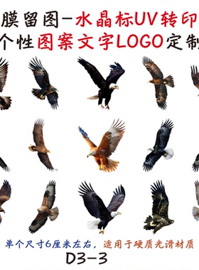 撕膜留图飞禽老鹰水晶标转印贴
