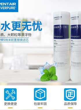爱惠浦（Everpure）家用厨下10吋/5微米前置过滤各品牌通用净水器