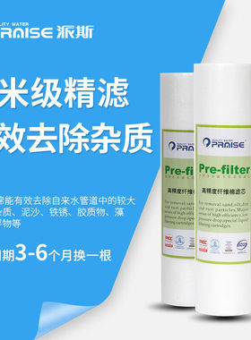 派斯【官方营】10寸高精度PP棉滤芯净水器软水机前置滤棉PP棉2根