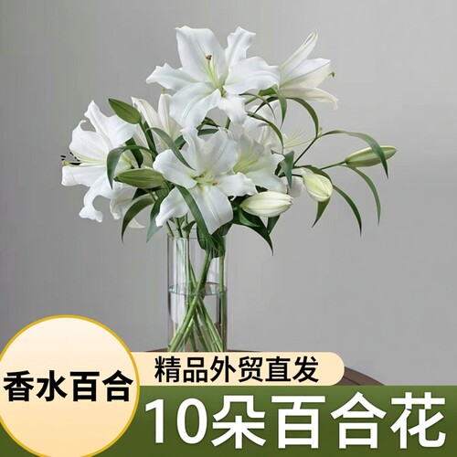 香水百合亚百合多品种精品外贸级云南鲜花基地直发家用送礼花束 - 图1