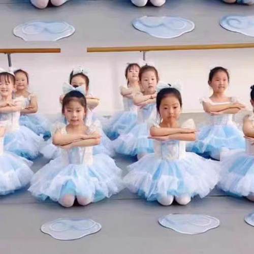 幼儿园舞蹈表演服我有一个梦想儿童蓬蓬裙演出服女童芭蕾舞蹈纱裙 - 图0
