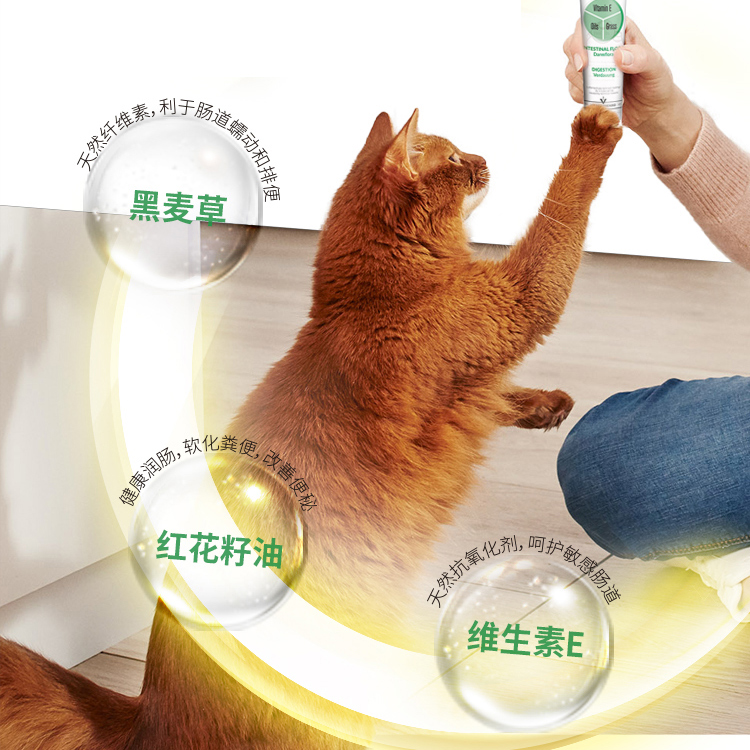 德国骏宝gimcat俊宝进口猫用营养膏化毛膏排毛球维生素猫草膏50g