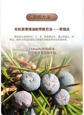 杜松单方精油oshadhi紧致肌肤