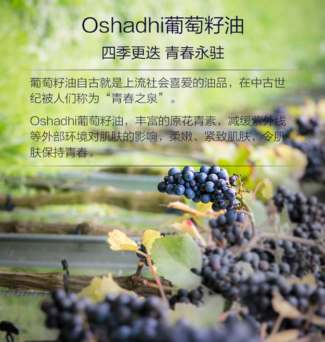 葡萄籽油德国O家oshadhi植物油基底油熟龄肌身体按摩油洁净油痘肌 - 图0