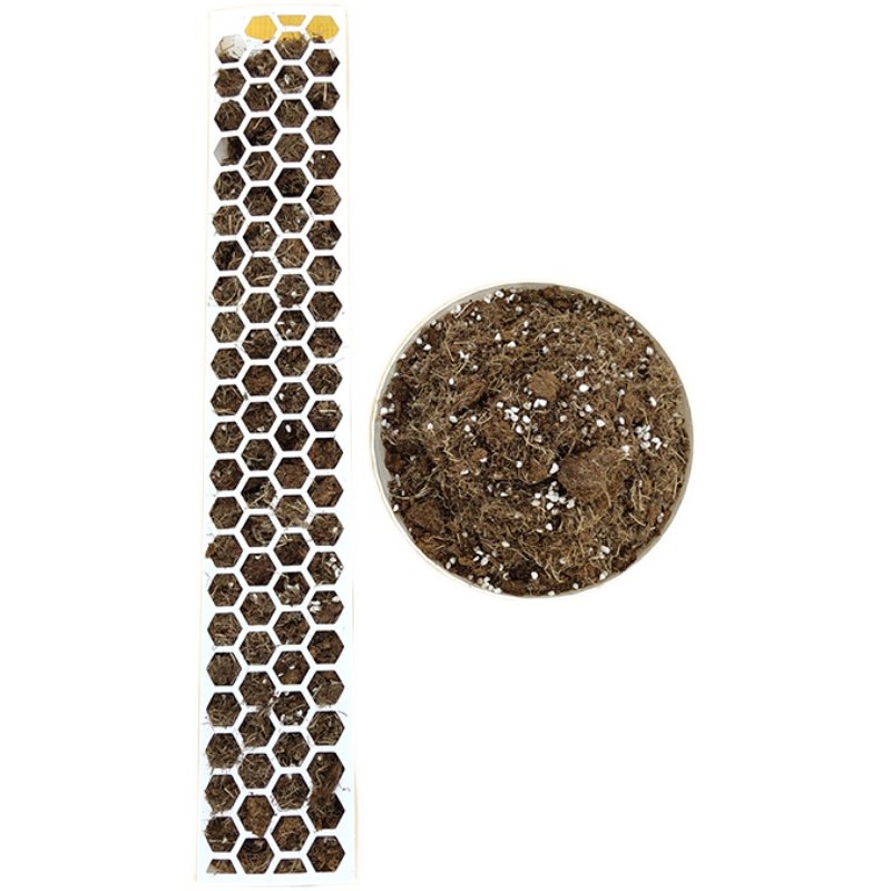 龟背竹水苔柱的周边园艺产品专用绑带小鸟缠绕膜挂钩泥炭粗椰壳,淘宝优惠券,粉丝福利购,淘宝优惠卷