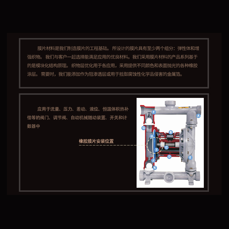 气动隔膜泵膜片配件 QBY25 40 F46特氟龙丁晴山道橡胶四氟 230mm-图2