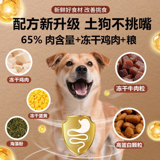 Adult dog universal Chinese small local dog puppy