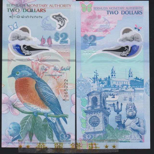 Choose your 2024 IBNS winning 5 yuan banknote number