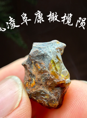 风凌阜康橄榄陨石原石 橄榄陨石之王 Fukang天外来客金铁橄榄陨石