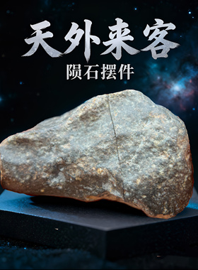 西北非球粒石陨石对切 保真天外来客  NWA天然石陨石 天上的星星