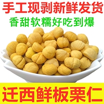 Relocation of the chestnut kernel raw fresh raw chestnut kernel skinned chestnut flesh to shell plate millet peeled oil chestnut vacuum ready-to-eat