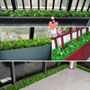 Hua Qianyun simulates big seedling lawn partition decorative grass