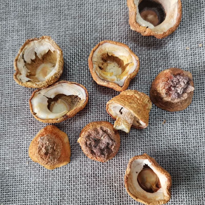云南姬松茸帽子500g野生食用菌干货巴西菇松茸营养搭配羊肚菌包邮,淘宝优惠券,粉丝福利购,淘宝优惠卷