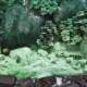 Natural jade, Dushan jade ornaments, jade carvings, bright future, collection of home and living room cultural toys, decorations and gifts
