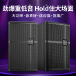 惠威DS810/DS812会议酒吧10寸12寸KTV音响会议室专业重低音音箱