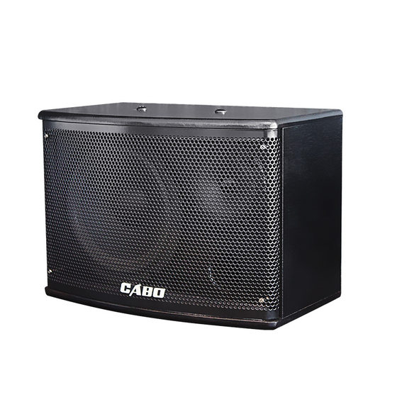 CABO/加宝 CA-600 家庭ktv卡拉ok音响 会议室专业卡包音箱