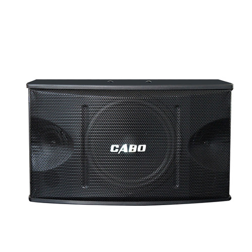CABO/加宝 CA-1000 家庭ktv卡拉ok音响 会议室专业卡包音箱 - 图3