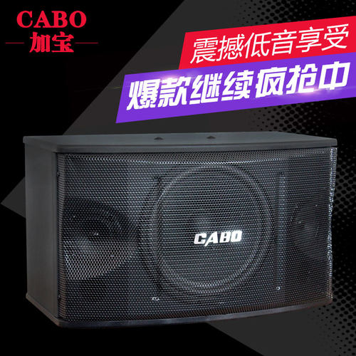 CABO/加宝 CA-1000 家庭ktv卡拉ok音响 会议室专业卡包音箱 - 图1