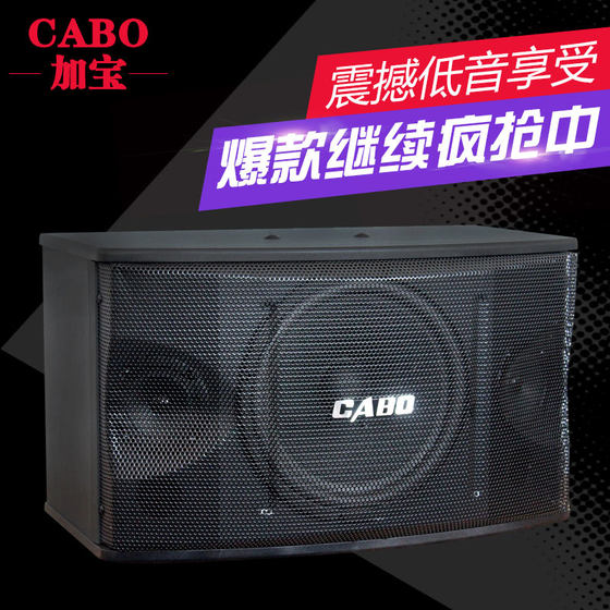 CABO/加宝 CA-1000 家庭ktv卡拉ok音响 会议室专业卡包音箱