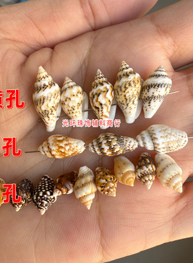 天然海螺壳10-15mm打孔花米螺贝壳DIY手工饰品项链材料服装辅料