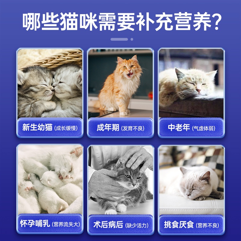 MAG乳铁蛋白营养膏猫用有助猫咪增强免疫力幼猫哺乳孕期补充营养-图1