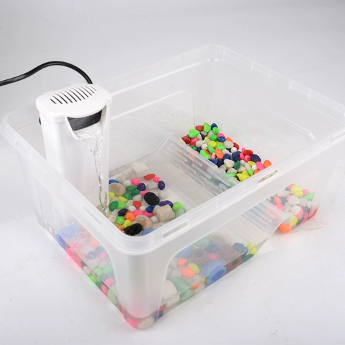 Танка черепаха с солнцем -танком Специальный аквариум бразильский