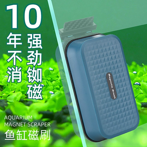 Маленький мощный магнитный стеклянный двусторонний аквариум