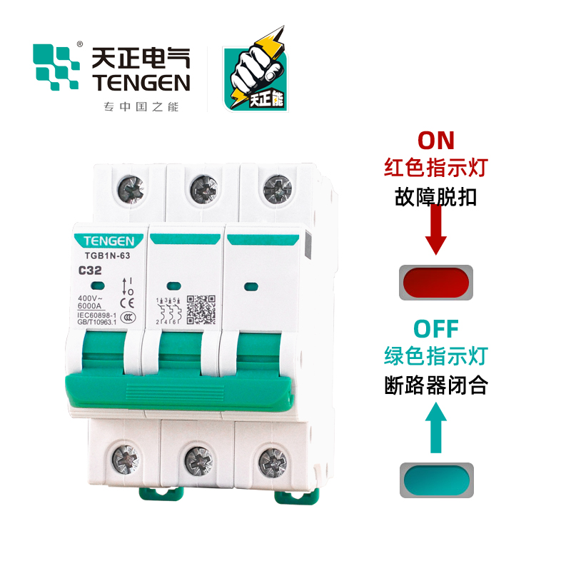 TENGEN天正TGB1N-63空气开关DZ47小型断路器1P2P3P32A电闸63A家用