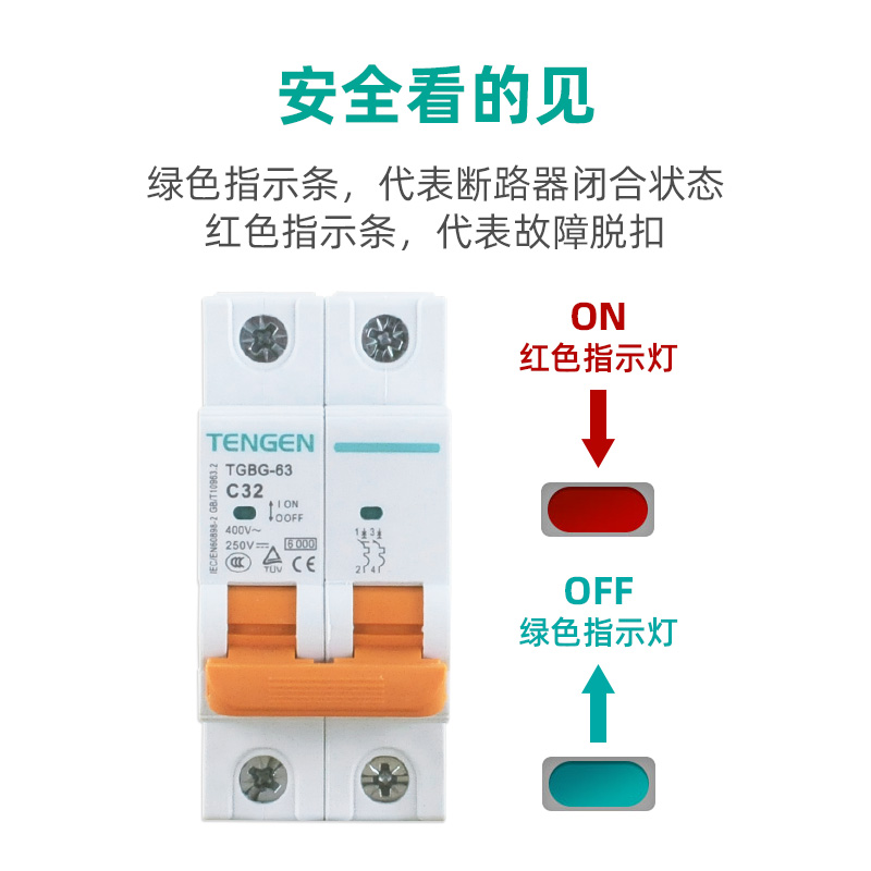 TENGEN天正TGBG直流断路器1P2P直流空气开关32A63A电动电瓶车用DC - 图1