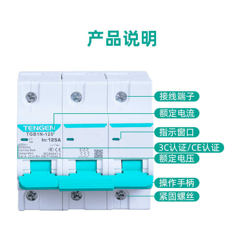 TENGEN天正TGB1N-125 1P 2P 3P 4P 100A 125A空气开关 DZ47升级款 - 图0