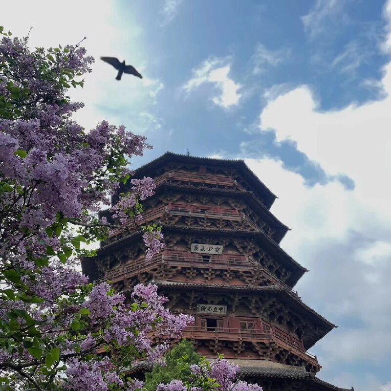 大同到应县木塔 悬空寺 云冈纯玩一日游 大同旅游含门票