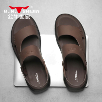 Bull World Home Genuine Leather Men Sandals 2023 New Summer Outside Wearing Non-slip Wear and Driving Casual Beach Slippers