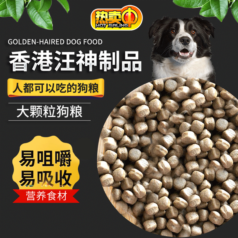 进口香港汪神制品狗粮5斤成犬肠道处方粮2KG7.5KG腹泻GI25软便调 - 图2