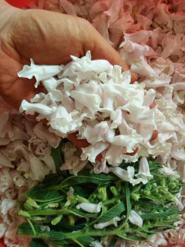 新鲜芝麻花黑芝麻花麻子花白芝麻花干芝麻花芝麻花干芝麻杆包邮 - 图1