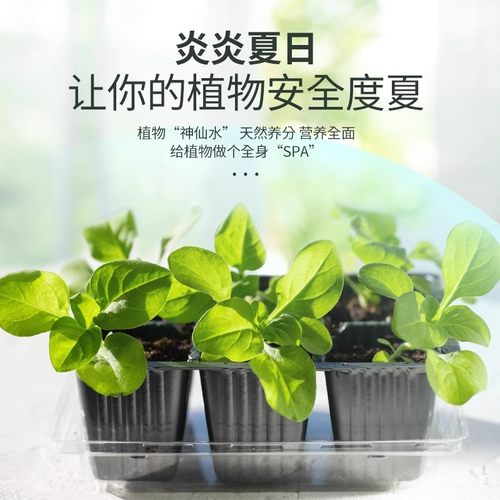 植物活力素浓缩营养液发财树多肉花卉绿植促生根通用型官方旗舰店 - 图2