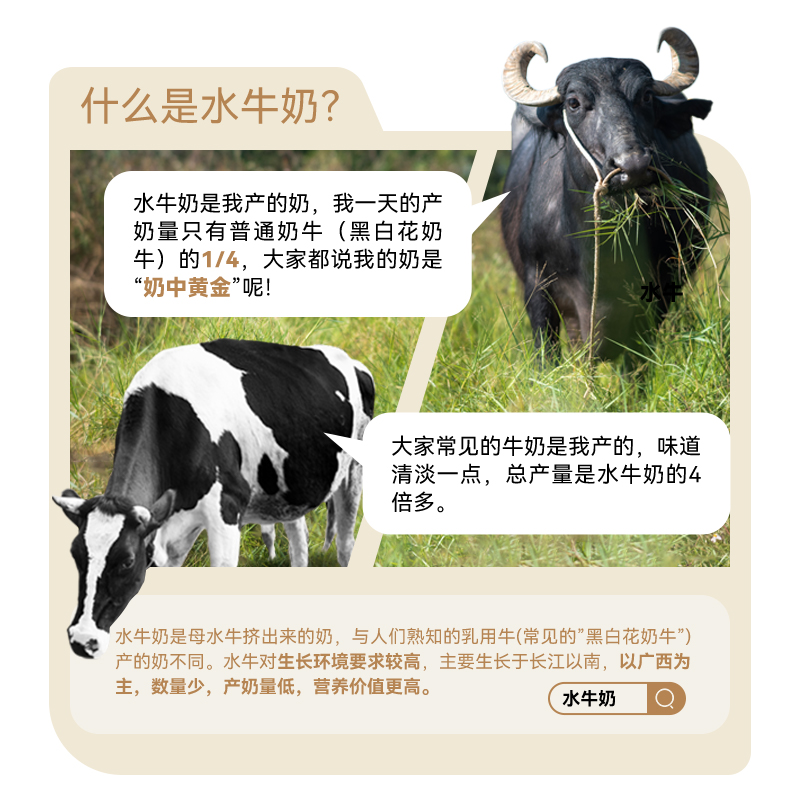 皇氏乳业纯牛奶200ml*10盒水牛奶配方学生儿童成长高钙营养早餐奶