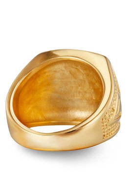 金色明星同款光明会全视