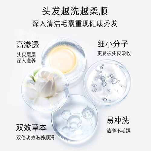 进口JubileeGardens爵百莉英伦焕新清盈洗发水止痒控油持久留香 - 图0