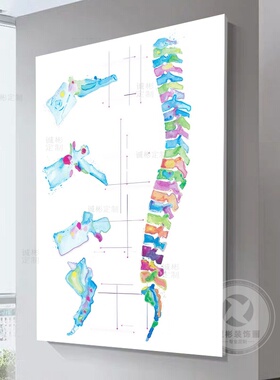 彩绘人体骨架解剖图装饰画医院门诊墙壁宣传挂画医学院实验室壁画