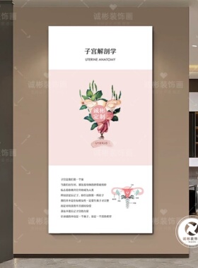 医疗机构骨盆子宫外阴解剖学墙壁挂画整形医院美容院产康店装饰画
