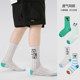 儿童袜子春夏薄款纯棉男童卡通小狗潮袜中大童夏季透气网眼中筒袜