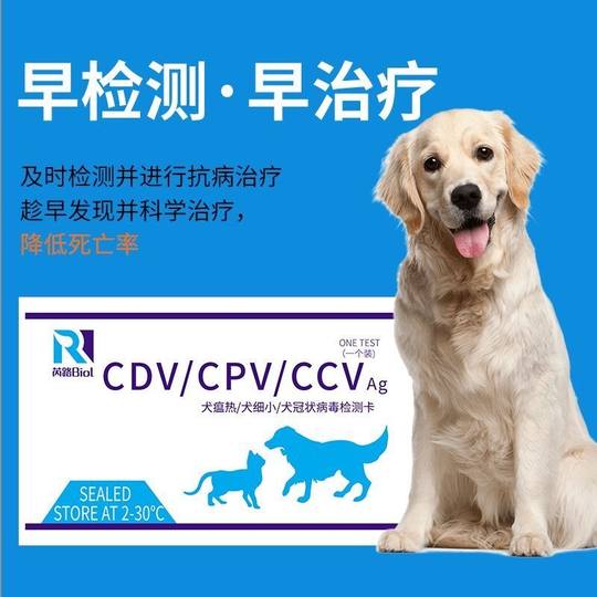 狗狗犬瘟细小冠状三合一快速检测卡宠物试纸检测试纸卡犬瘟热试纸