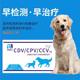 狗狗犬瘟细小冠状三合一快速检测卡宠物试纸检测试纸卡犬瘟热试纸