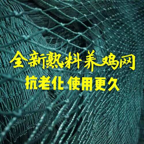 户外养殖网护栏网围栏网天网防鸟网养鸡网小孔2厘米两指鸟尼龙网 - 图0